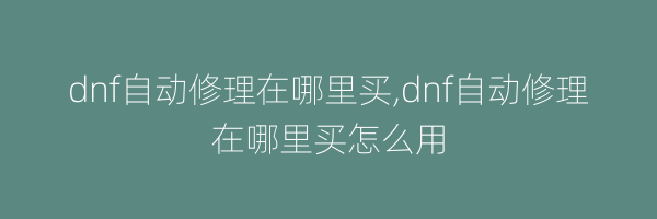 dnf自动修理在哪里买,dnf自动修理在哪里买怎么用