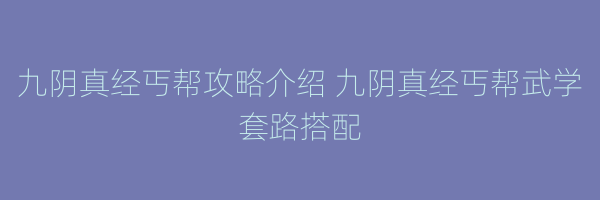 九阴真经丐帮攻略介绍 九阴真经丐帮武学套路搭配