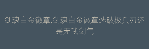 剑魂白金徽章,剑魂白金徽章选破极兵刃还是无我剑气