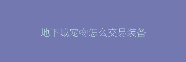 地下城宠物怎么交易装备