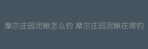 摩尔庄园泥鳅怎么钓 摩尔庄园泥鳅在哪钓