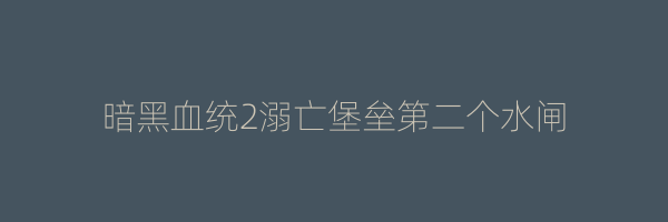 暗黑血统2溺亡堡垒第二个水闸