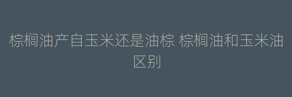 棕榈油产自玉米还是油棕 棕榈油和玉米油区别