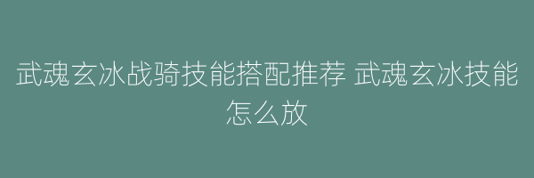 武魂玄冰战骑技能搭配推荐 武魂玄冰技能怎么放