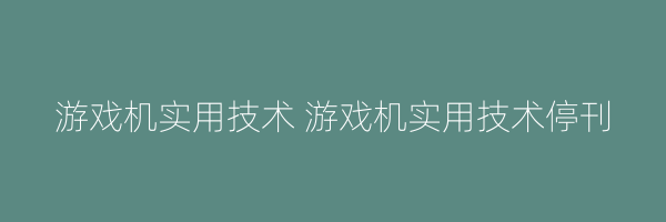 游戏机实用技术 游戏机实用技术停刊