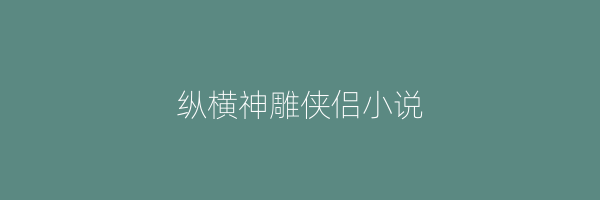 纵横神雕侠侣小说