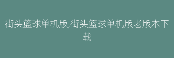 街头篮球单机版,街头篮球单机版老版本下载