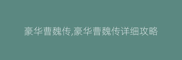 豪华曹魏传,豪华曹魏传详细攻略