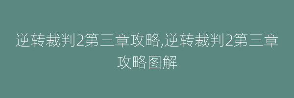 逆转裁判2第三章攻略,逆转裁判2第三章攻略图解