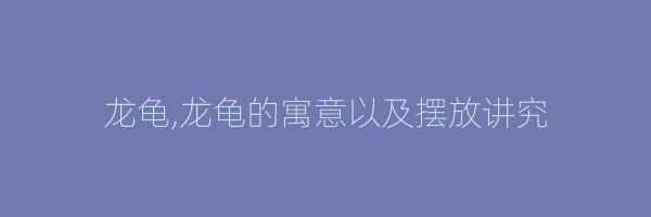 龙龟,龙龟的寓意以及摆放讲究