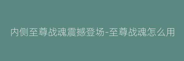 内侧至尊战魂震撼登场-至尊战魂怎么用