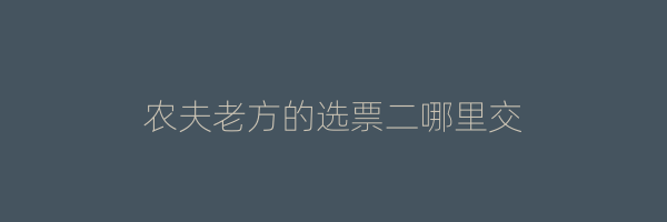 农夫老方的选票二哪里交