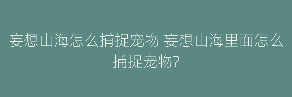 妄想山海怎么捕捉宠物 妄想山海里面怎么捕捉宠物?