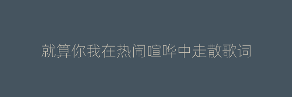 就算你我在热闹喧哗中走散歌词