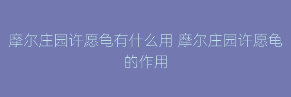 摩尔庄园许愿龟有什么用 摩尔庄园许愿龟的作用