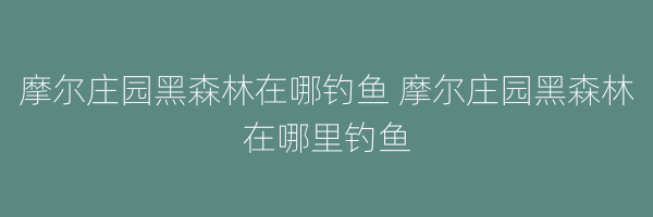 摩尔庄园黑森林在哪钓鱼 摩尔庄园黑森林在哪里钓鱼