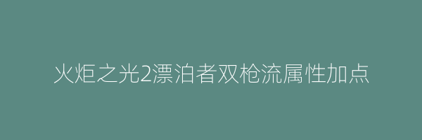 火炬之光2漂泊者双枪流属性加点