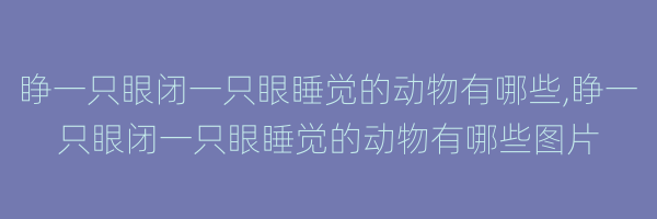 睁一只眼闭一只眼睡觉的动物有哪些,睁一只眼闭一只眼睡觉的动物有哪些图片