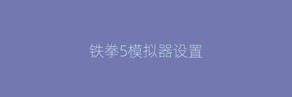 铁拳5模拟器设置