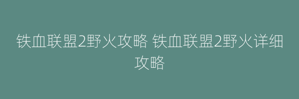 铁血联盟2野火攻略 铁血联盟2野火详细攻略