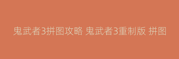 鬼武者3拼图攻略 鬼武者3重制版 拼图