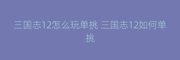 三国志12怎么玩单挑 三国志12如何单挑