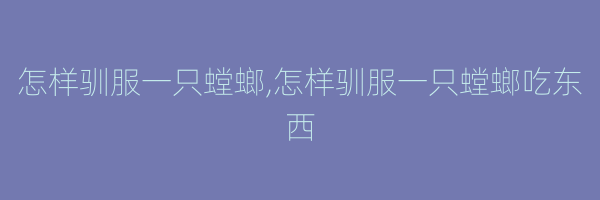 怎样驯服一只螳螂,怎样驯服一只螳螂吃东西