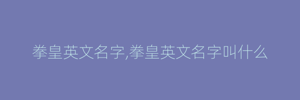 拳皇英文名字,拳皇英文名字叫什么