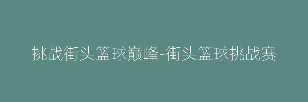 挑战街头篮球巅峰-街头篮球挑战赛