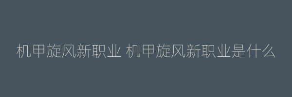 机甲旋风新职业 机甲旋风新职业是什么