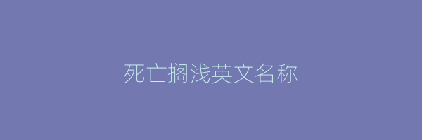 死亡搁浅英文名称