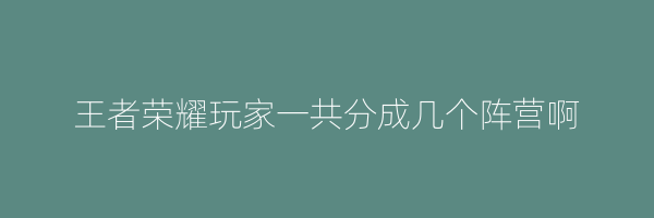 王者荣耀玩家一共分成几个阵营啊