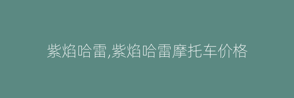 紫焰哈雷,紫焰哈雷摩托车价格