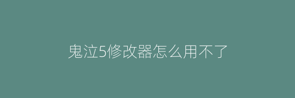 鬼泣5修改器怎么用不了