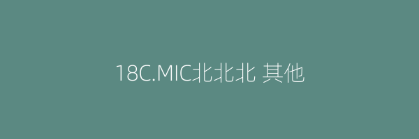 18C.MIC北北北 其他