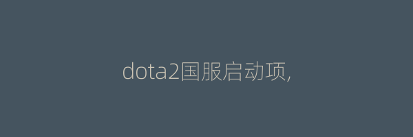 dota2国服启动项,