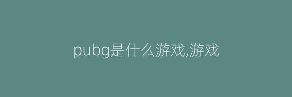 pubg是什么游戏,游戏