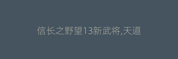 信长之野望13新武将,天道