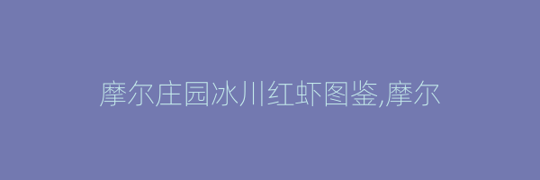 摩尔庄园冰川红虾图鉴,摩尔