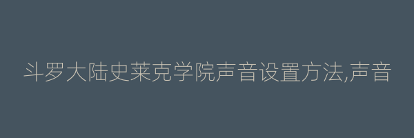 斗罗大陆史莱克学院声音设置方法,声音