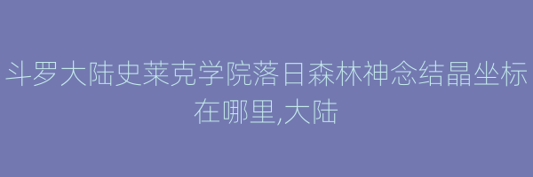 斗罗大陆史莱克学院落日森林神念结晶坐标在哪里,大陆