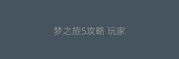 梦之旅5攻略 玩家