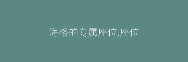 海格的专属座位,座位