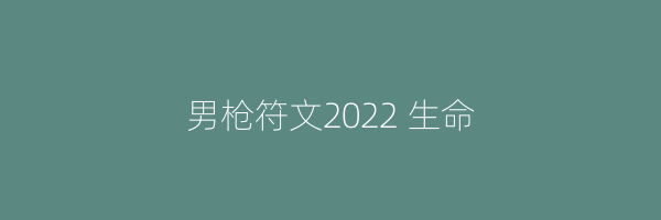 男枪符文2022 生命