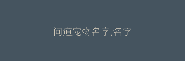 问道宠物名字,名字