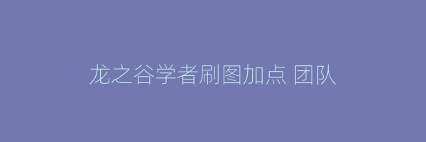 龙之谷学者刷图加点 团队