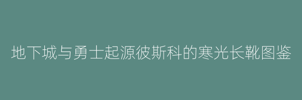 地下城与勇士起源彼斯科的寒光长靴图鉴