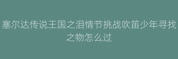 塞尔达传说王国之泪情节挑战吹笛少年寻找之物怎么过