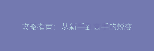 攻略指南：从新手到高手的蜕变