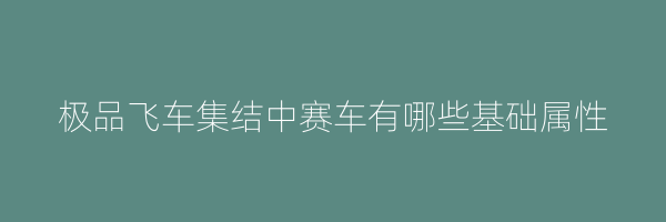 极品飞车集结中赛车有哪些基础属性